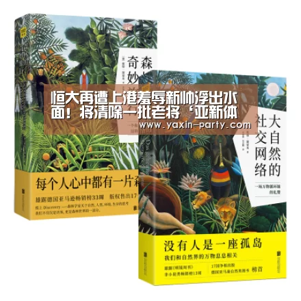 亚新官网