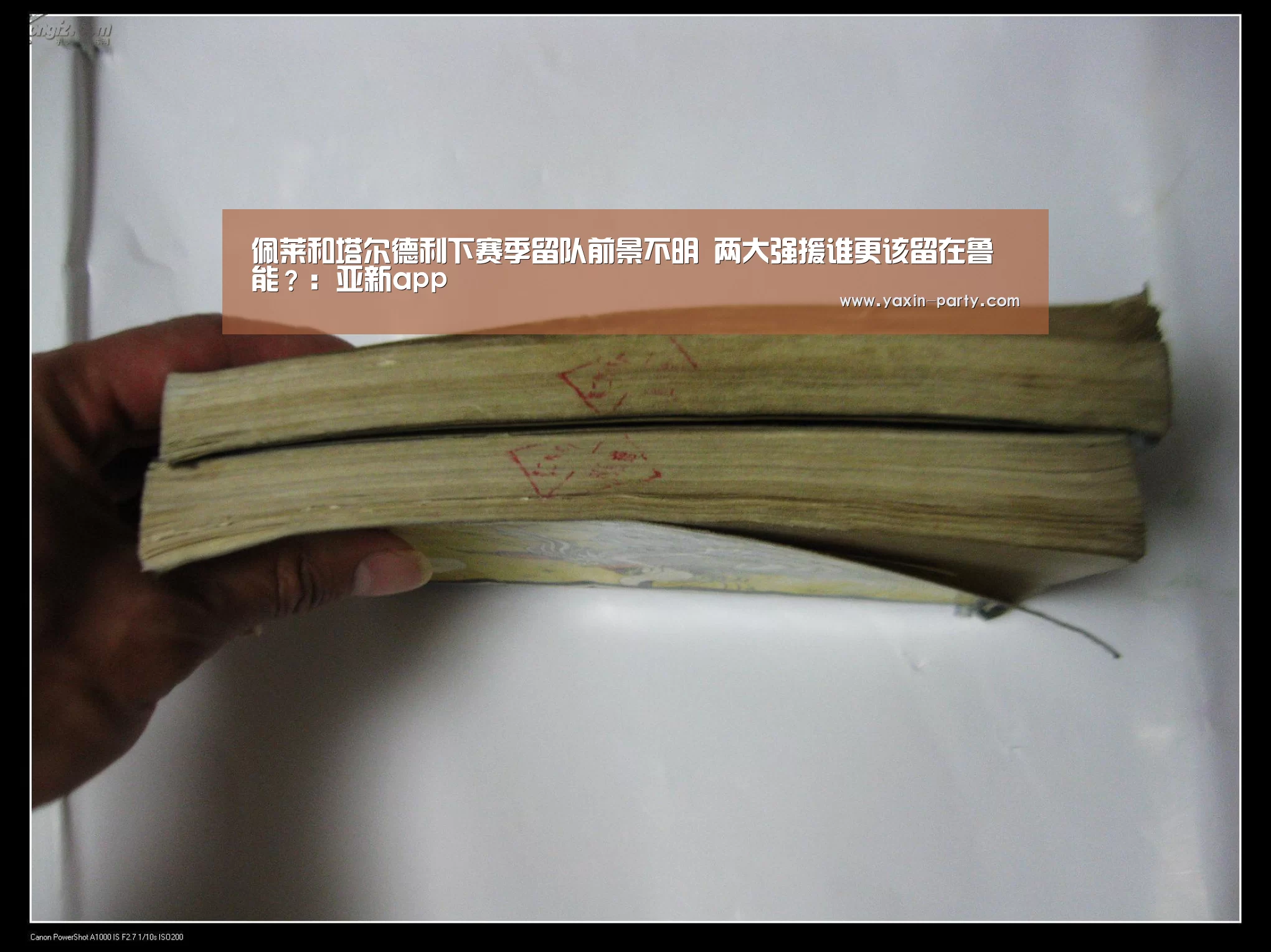 佩莱和塔尔德利下赛季留队前景不明 两大强援谁更该留在鲁能?:亚新app(图3) 亚新官网