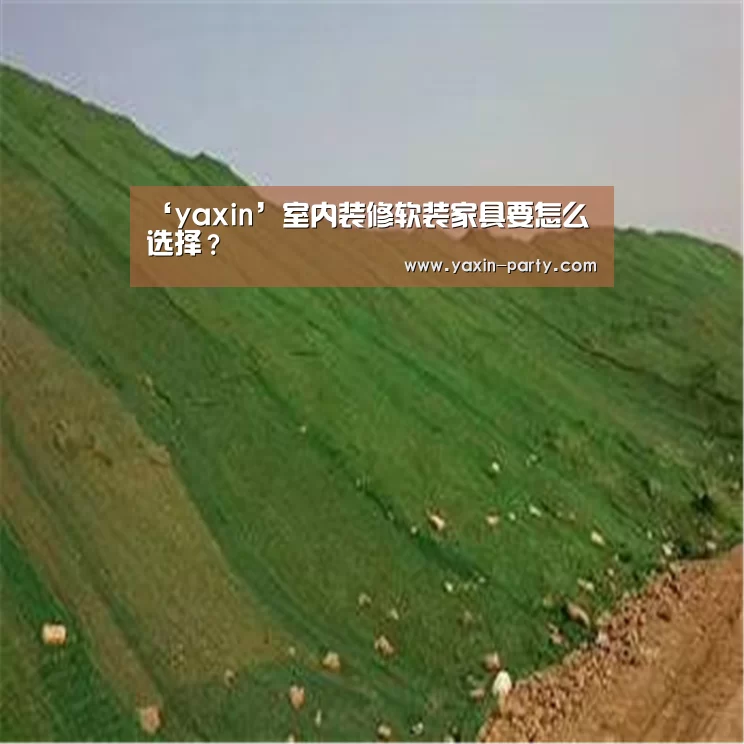 ‘yaxin’室内装修软装家具要怎么选择？(图3)
